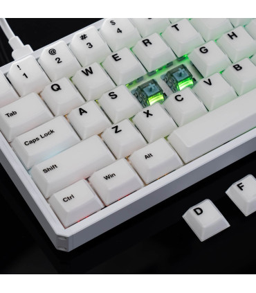 AKKO MOD68-HE Clavier de gaming ANSI blanc brumeux 8000Hz