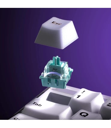 AKKO RAY68-HE Wireless White ANSI | Hall Effect Gaming Keyboard