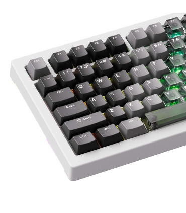 AKKO 5087 V3-HE Wireless ANSI – 8000 Hz Hall Effect Keyboard White