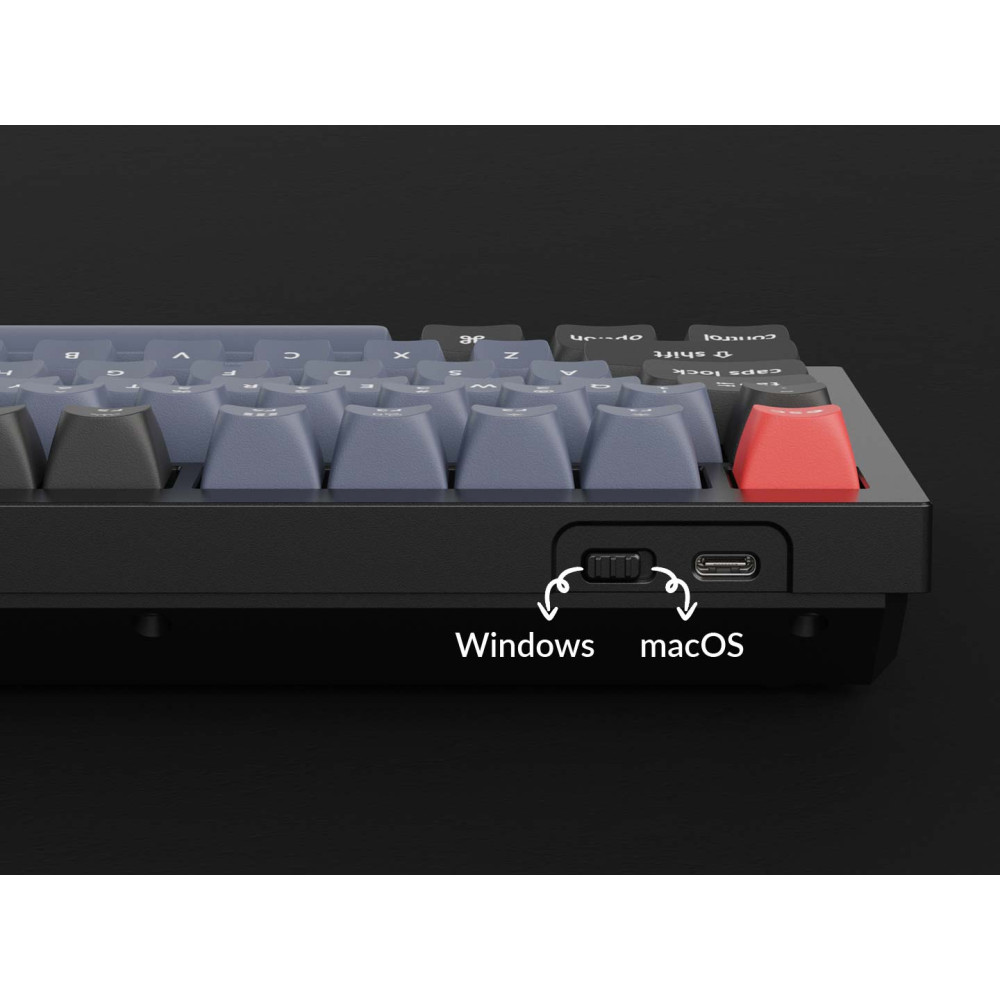 Keychron Q1 Blue QMK Brown Switch (ANSI) avec bouton