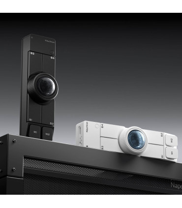 Keychron Nape Pro Trackball sans fil Souris noire | studioCTRL