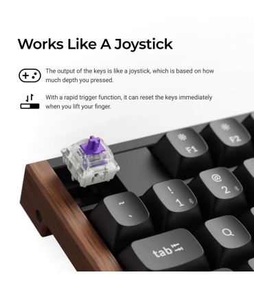 Keychron K10 HE Black Wood ISO-CH Magnetic Keyboard | studioCTRL