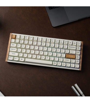 Keychron K2 HE ISO-CH – 75% Wireless RGB Tastatur mit Magnet-Switches