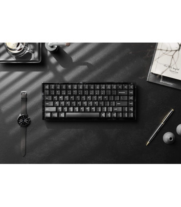 Keychron K2 HE Resin ANSI-US: Resingehäuse & transparente Tasten