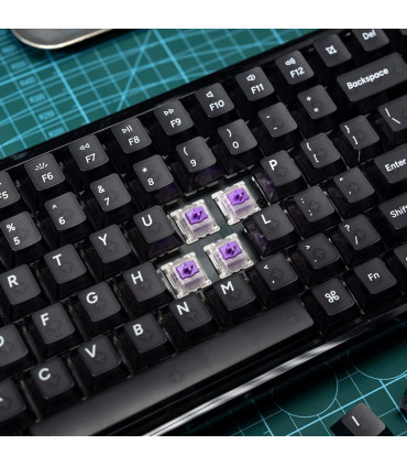 Keychron K2 HE Resin ANSI-US: Resingehäuse & transparente Tasten