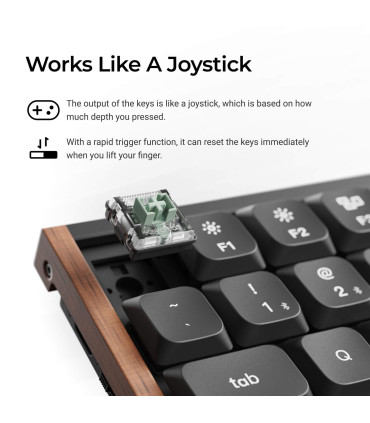 Keychron K3 HE Black Wood ANSI-US | Magnetische Tastatur