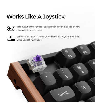 Keychron K8 HE Black Wood ISO-CH | Magnetische TKL-Tastatur