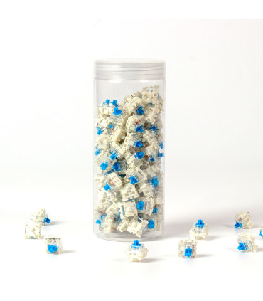 Gateron G Pro 2.0 Switch Set 110pcs / Set Blue