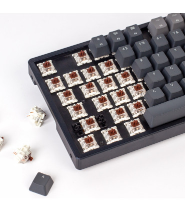 Gateron G Pro 2.0 Switch Set 110pcs/Set Brown
