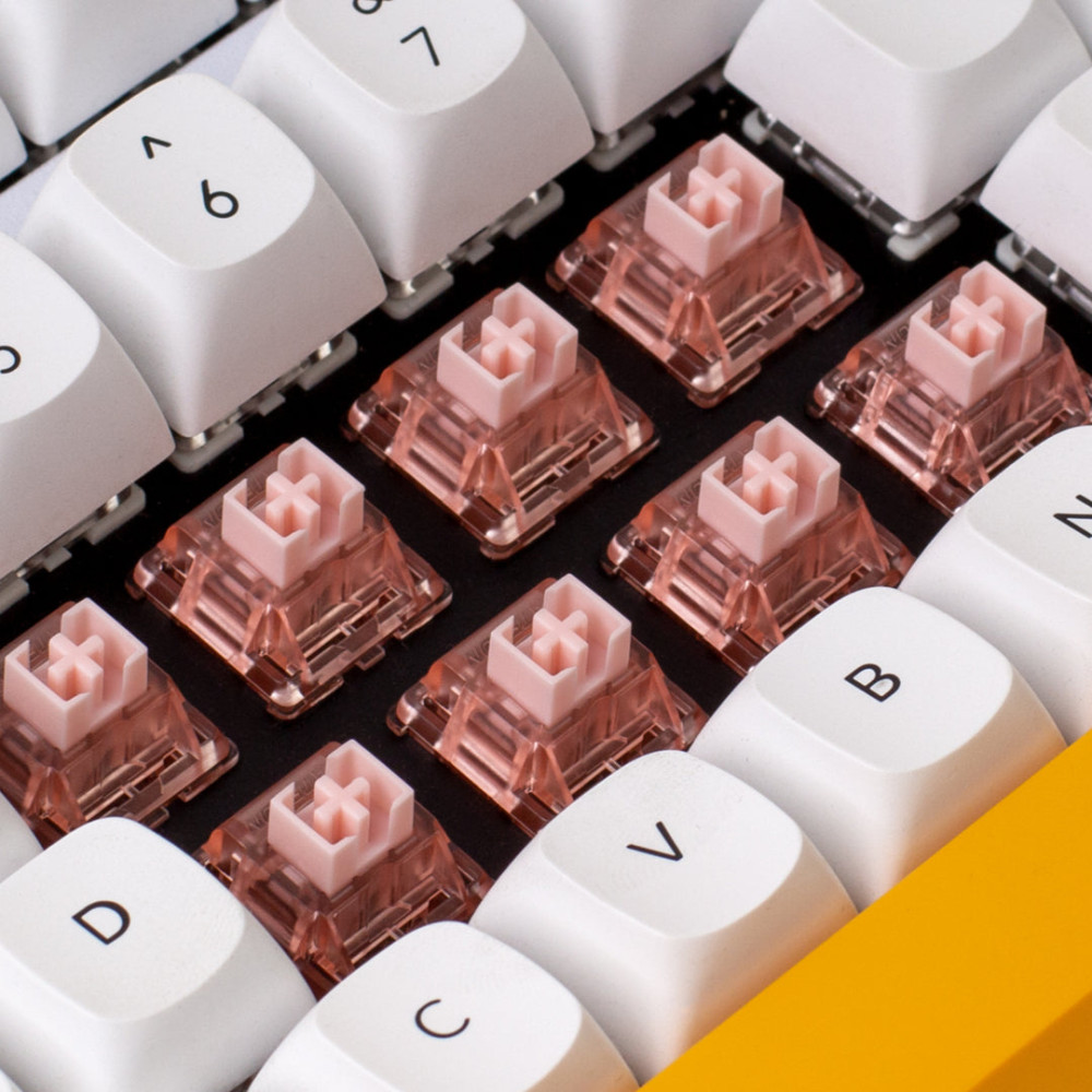 Gateron Box Ink V2 Switch Set 110pcs / Set Rose