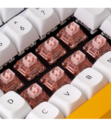 Gateron Box Ink V2 Switch Set 110pcs / Set Rose