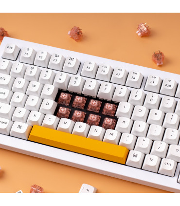 Gateron Box Ink V2 Switch Set 110pcs / Set Rose