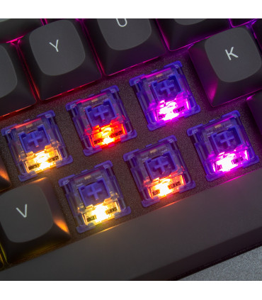 Gateron Box CJ Switch Set 110pcs / Set bleu foncé
