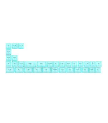 Akko ASA Clear Printed Keycap Mint Fullset
