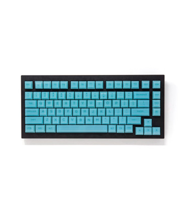 Akko ASA Clear Printed Keycap Mint Fullset