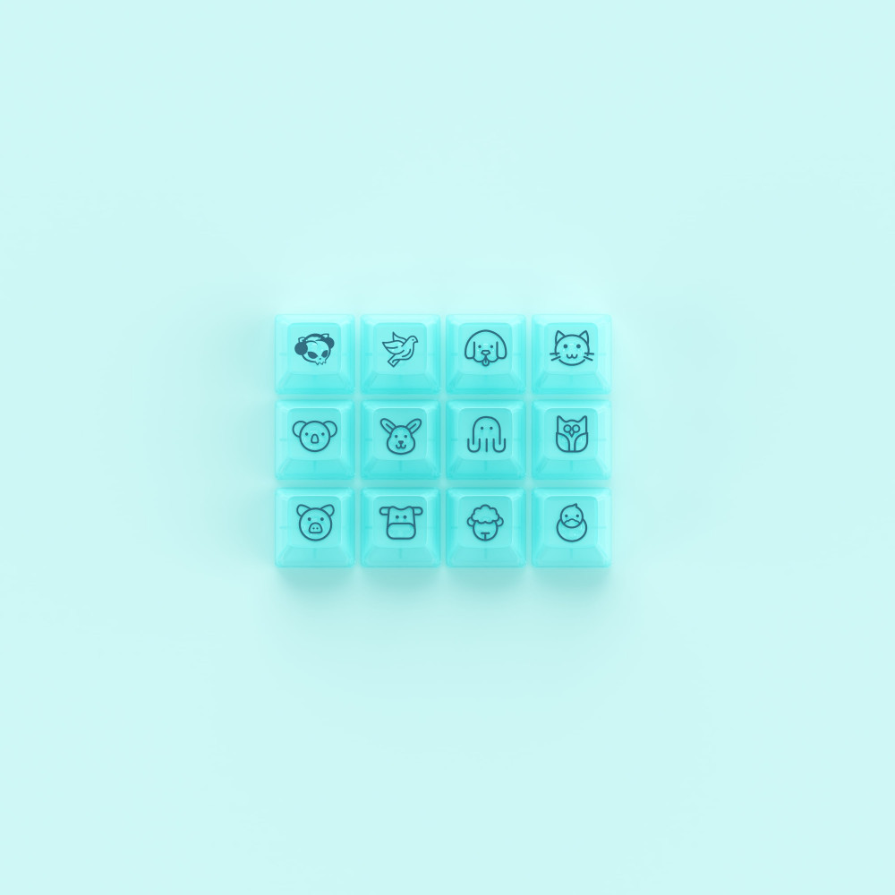 Akko ASA Clear Printed Keycap Mint Fullset