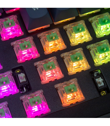 Gateron Baby Kangaroo Tactile Switch 110pcs/Set