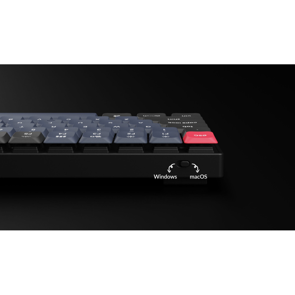 Keychron Q1 Blue QMK Red Switch (ANSI) avec bouton
