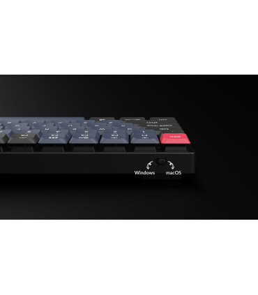 Keychron Q1 Blue QMK Red Switch (ANSI) avec bouton