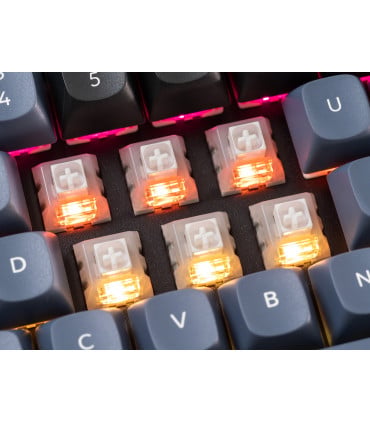 Kailh White Owl Box Switch 110pcs/Set