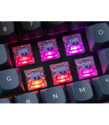 Kailh Polia Tactile Switch 110pcs/Set