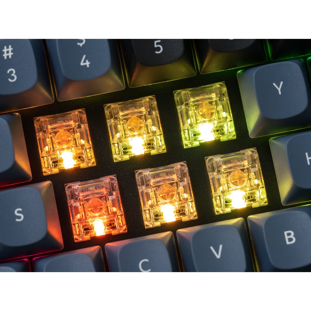 Kailh Clione Limacina Tactile Switch 110pcs/Set