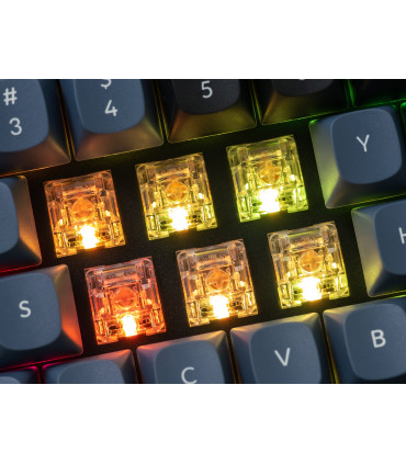 Kailh Clione Limacina Tactile Switch 110pcs/Set
