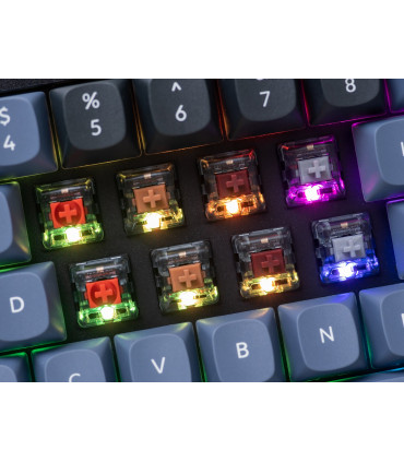 Kailh Super Speed Switch Bronze: Verbesserte Leistung und Präzision
