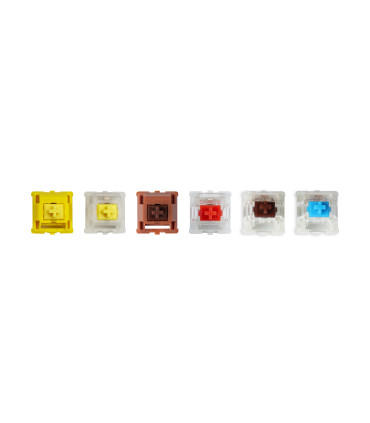 Gateron Cap V2 Switch 110pcs / Set Blue