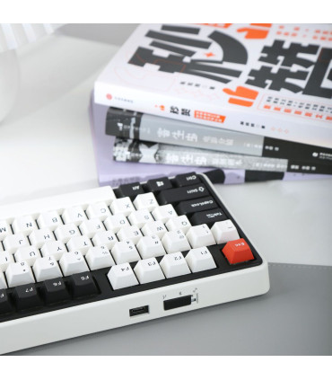 Varmilo Panda VA88 Cherry MX Brown (ISO-CH)