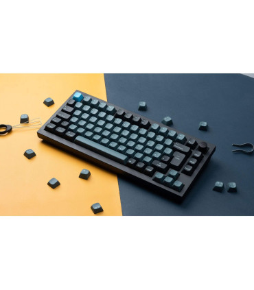 Keychron Q1 Pro : Clavier mécanique personnalisable pour les professionnels et les joueurs