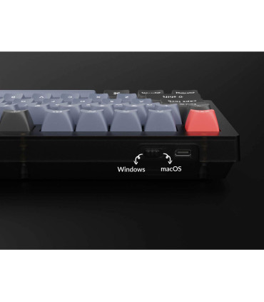 Die Keychron V1 - Ihre neue mechanische Tastatur mit ANSI Layout