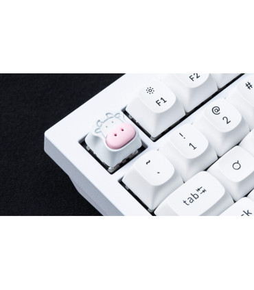 Artisan Keycaps für einen persönlichen Touch auf Ihrer Tastatur