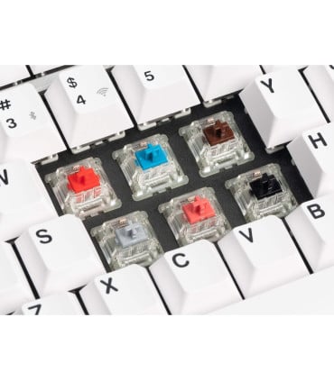 Discover the new Cherry MX2A switches for ultimate gaming performance!