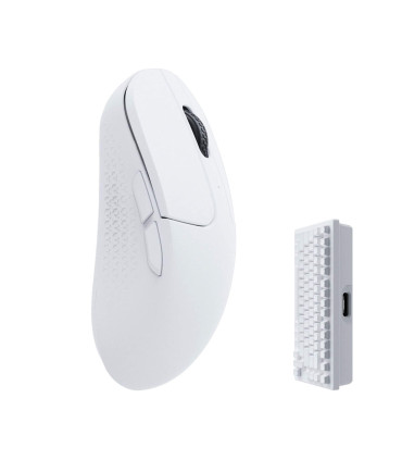 Erweitern Sie Ihr Setup mit der Keychron M3 Mini Wireless Maus  4000Hz
