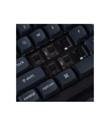 Gateron Ink V2 Switches - Enhance Your Typing Experience