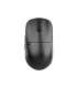 Pulsar X2H Wireless Black - Mini Size 1