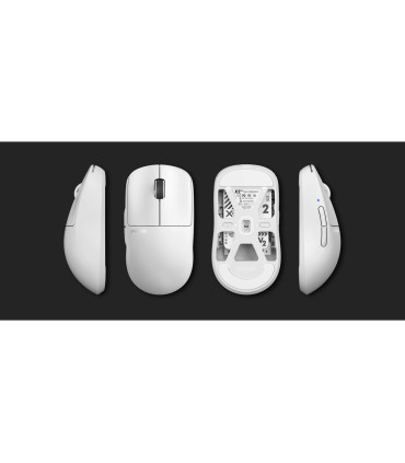 Pulsar  X2 v2Gaming-Maus - Booste Dein Gaming auf ein neues Top-Level